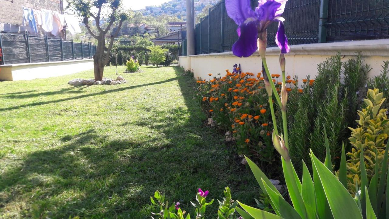 La Casina Gialla Villa Veroli Ngoại thất bức ảnh